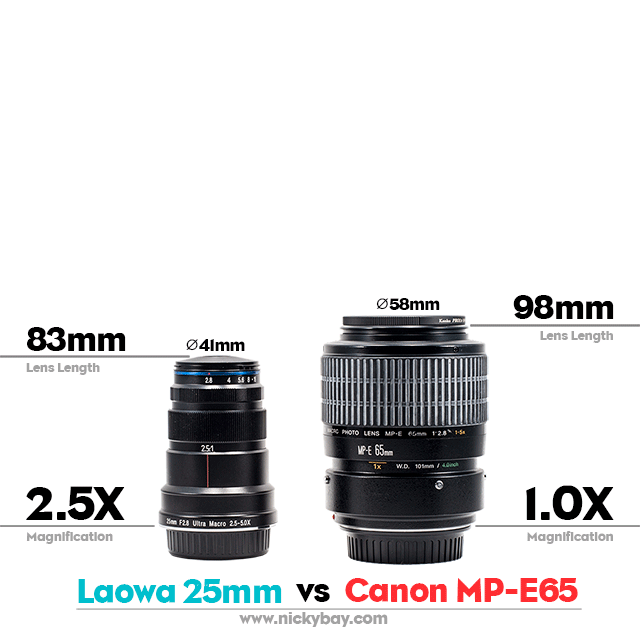 Vergleich Laowa 25 mm ultra Makroobjektiv mit dem Canon MP-E 65mm (Foto: Nicky Bay | www.nicky-bay.com)